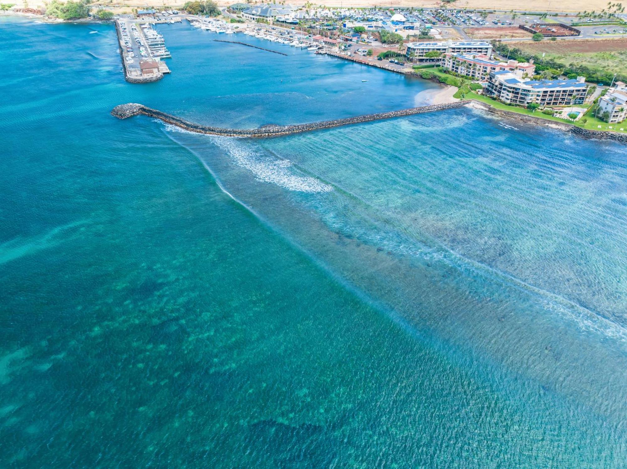 106 Milowai Wailuku Exteriér fotografie